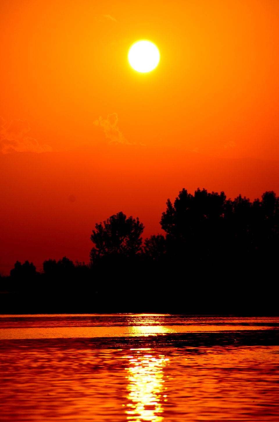Photo of Trip to Srinagar, City of Lakes and Gardens 32/37 by Bobby