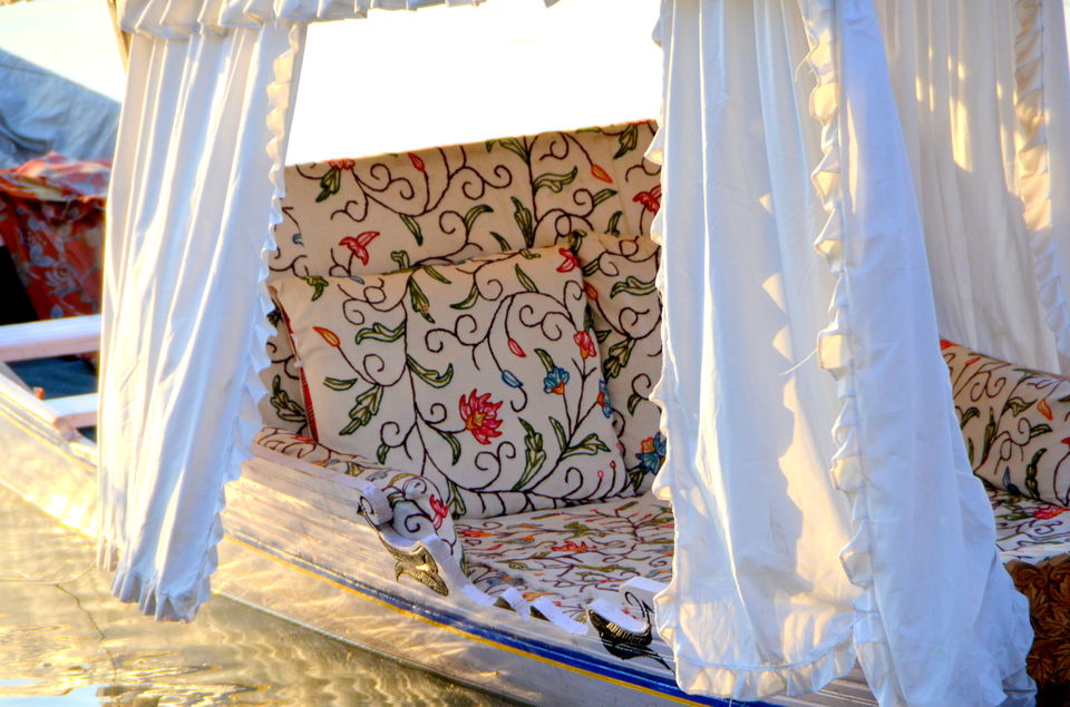 Photo of Trip to Srinagar, City of Lakes and Gardens 35/37 by Bobby