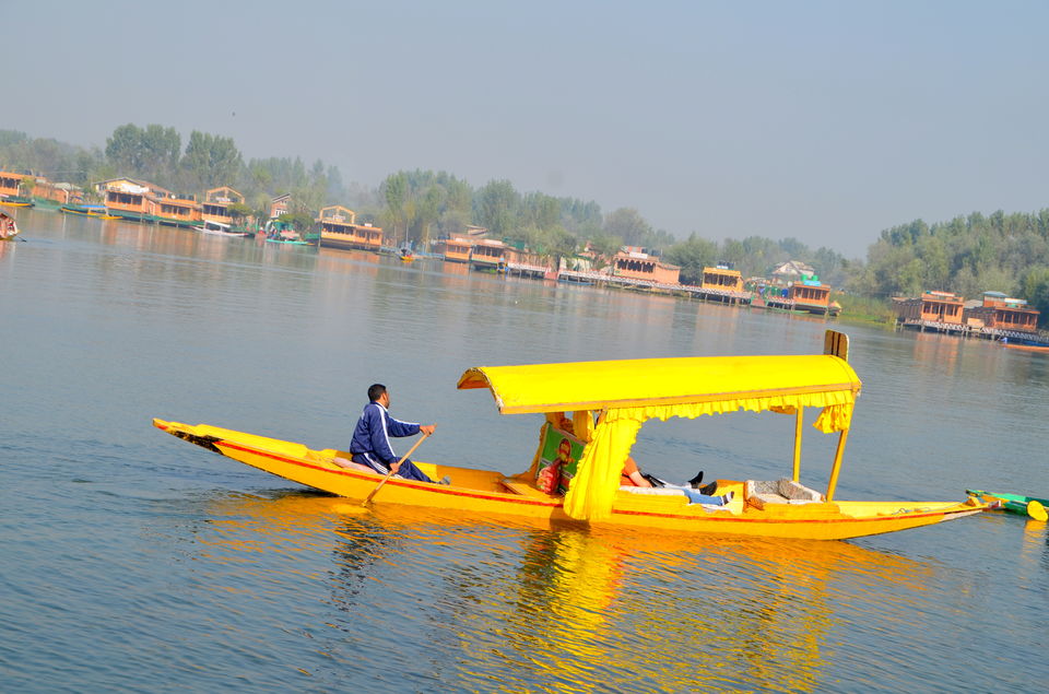 Photo of Trip to Srinagar, City of Lakes and Gardens 36/37 by Bobby