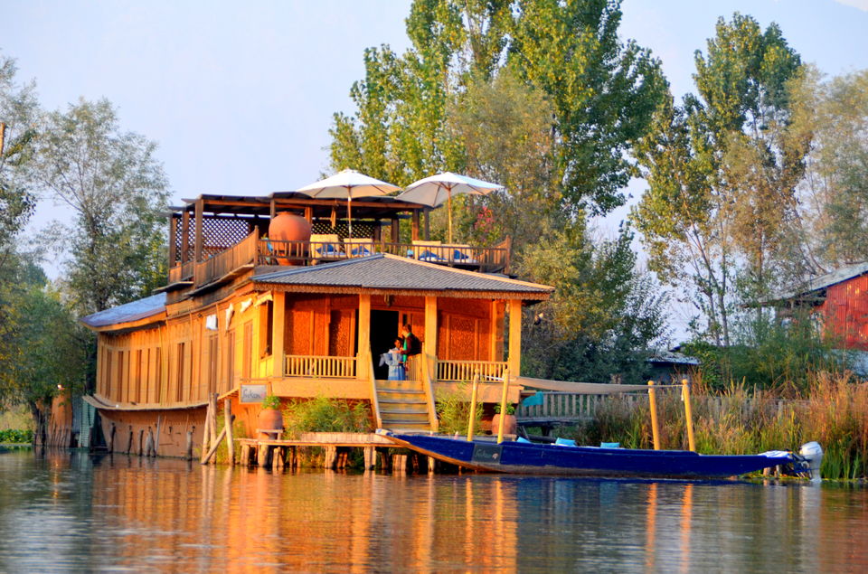 Photo of Trip to Srinagar, City of Lakes and Gardens 14/37 by Bobby