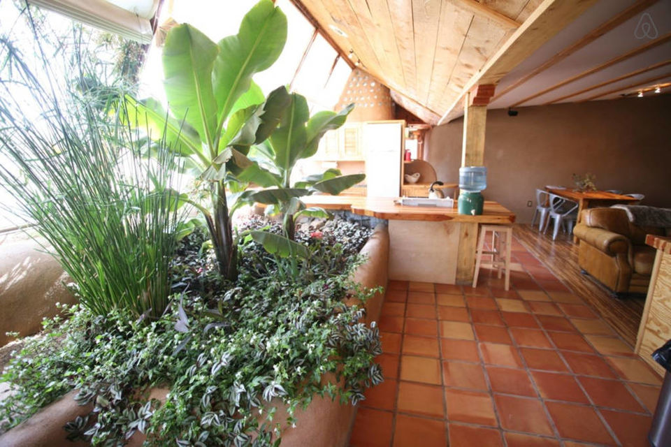 Photo of 5 Fantastic Eco-friendly Houses That Will Bring You Closer to Nature. Literally! 2/6 by Trisha Singh