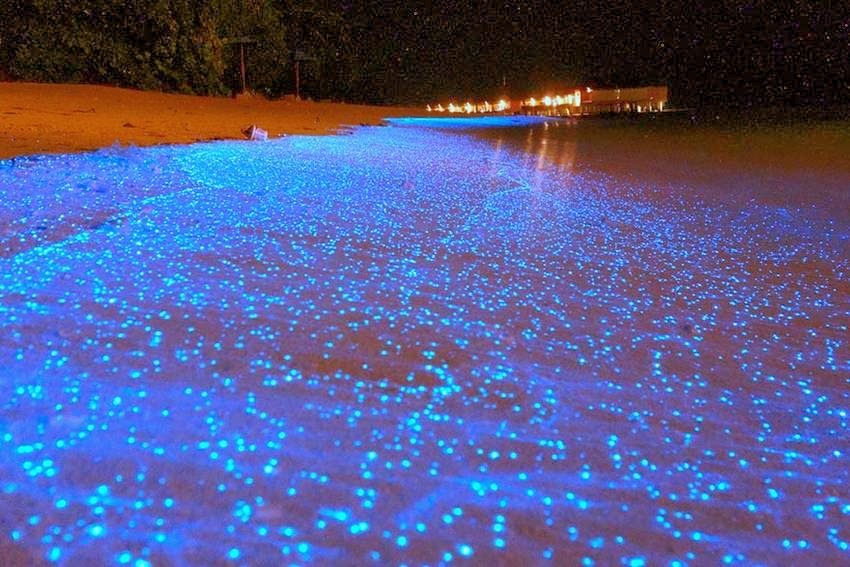 Photo of Strange Phenomena Around The World That You Have To See To Believe 7/20 by Priyam Bagga