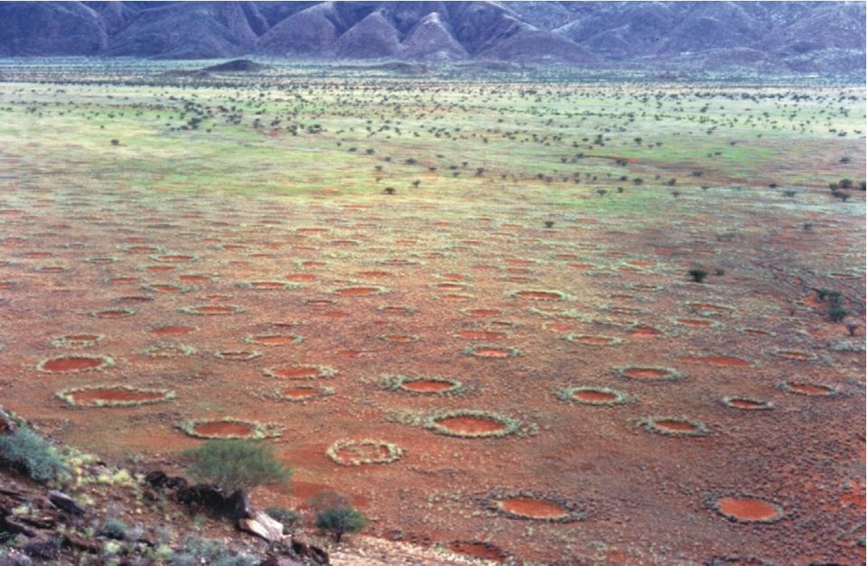 Photo of Strange Phenomena Around The World That You Have To See To Believe 11/20 by Priyam Bagga