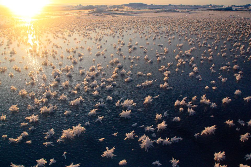 Photo of Strange Phenomena Around The World That You Have To See To Believe 19/20 by Priyam Bagga