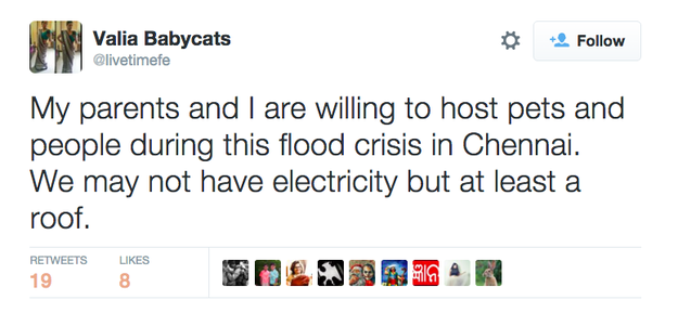Photo of Chennai is Flooding and It Really Needs Your Help! 7/12 by Sreshti Verma