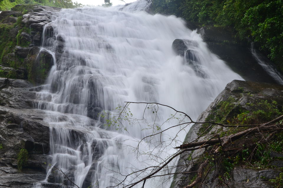 Photo of The Vacation Part 1: Tryst with Kerala 15/42 by Piyush Aggarwal