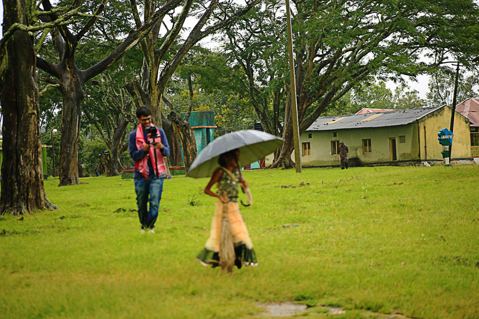Photo of Bandipur & Masinagudi – The Reserves of Two States and Best Weekend Getaway 2/16 by Venky Rover Scout