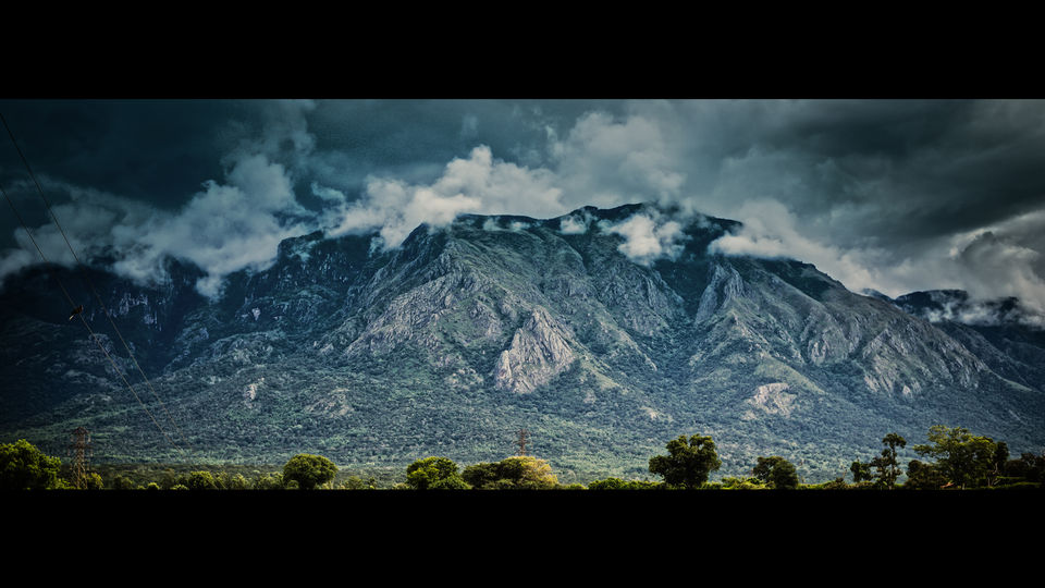 Photo of Bandipur & Masinagudi – The Reserves of Two States and Best Weekend Getaway 9/16 by Venky Rover Scout