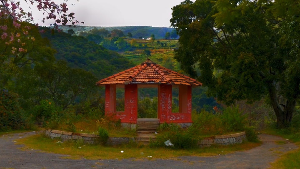 Photo of Bandipur & Masinagudi – The Reserves of Two States and Best Weekend Getaway 14/16 by Venky Rover Scout