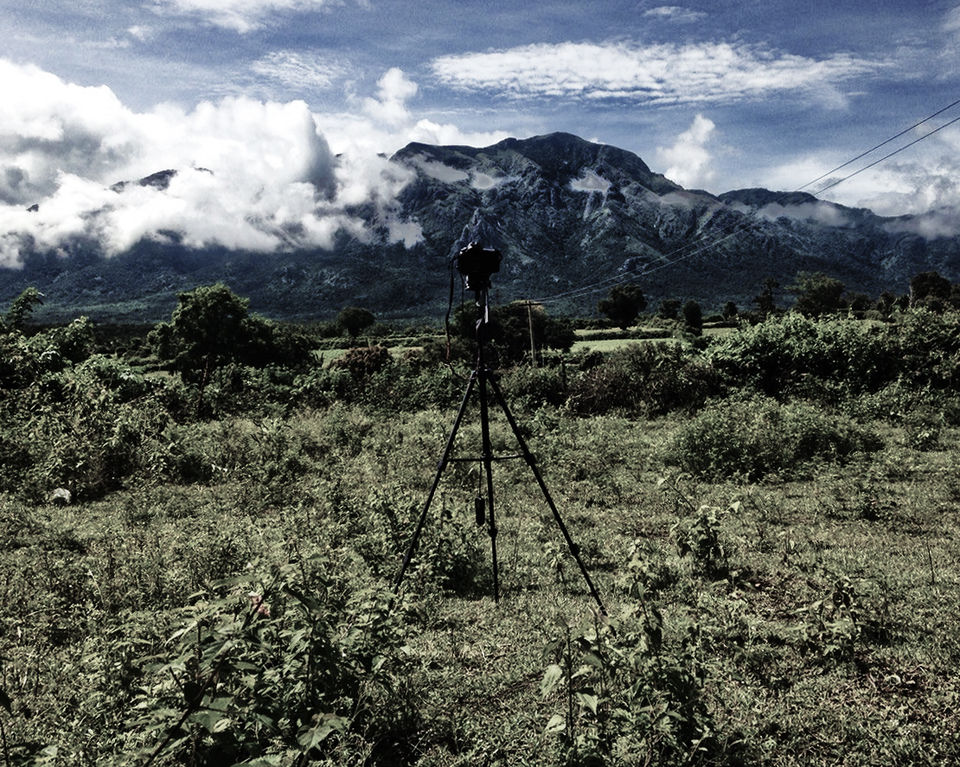 Photo of Bandipur & Masinagudi – The Reserves of Two States and Best Weekend Getaway 11/16 by Venky Rover Scout