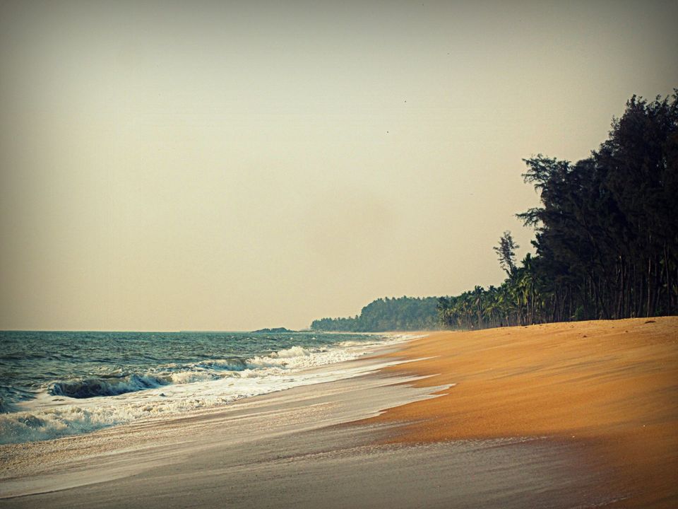 Photo of The Vacation Part 1: Tryst with Kerala 30/42 by Piyush Aggarwal