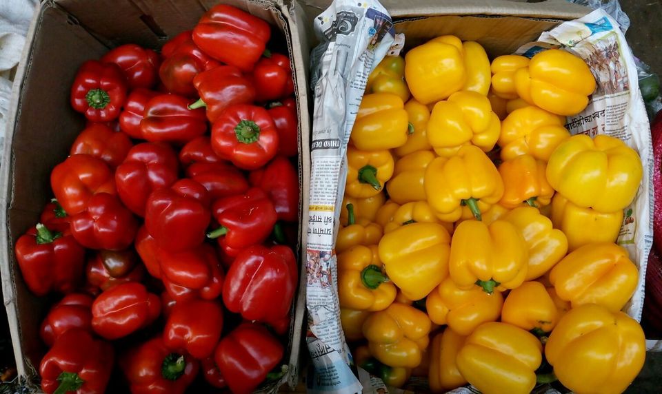 Photo of Azadpur Subzi Mandi – Asia's largest wholesale fruits and vegetables market 46/46 by Travellian.in