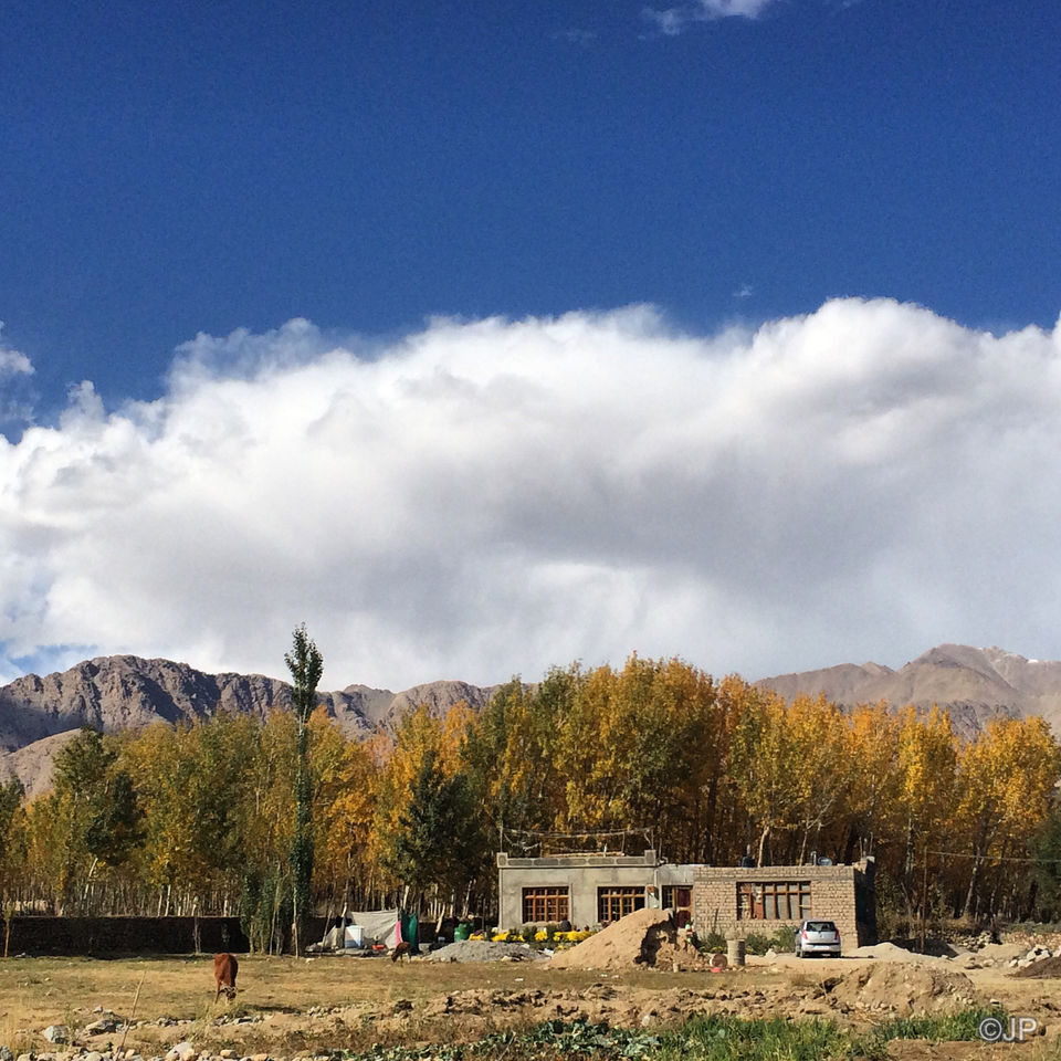 Photo of The Thing About Solo Travel 2/9 by Janavi Parikh