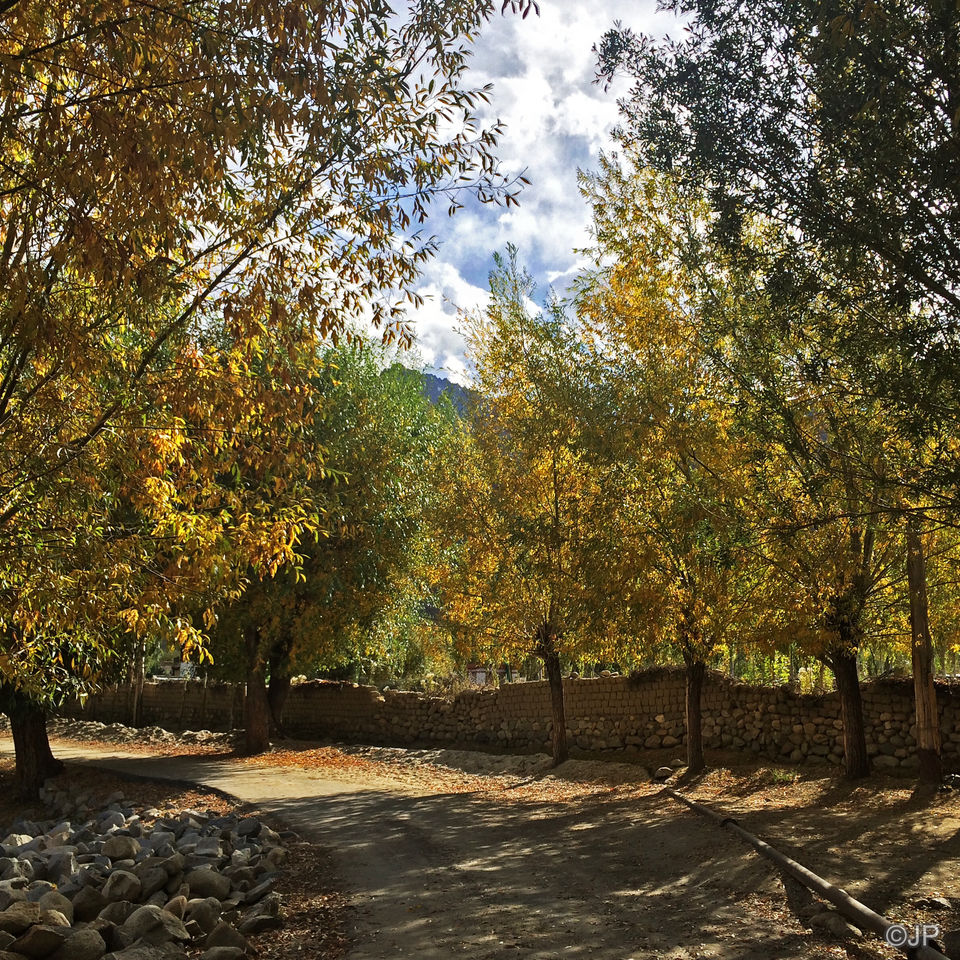 Photo of The Thing About Solo Travel 8/9 by Janavi Parikh