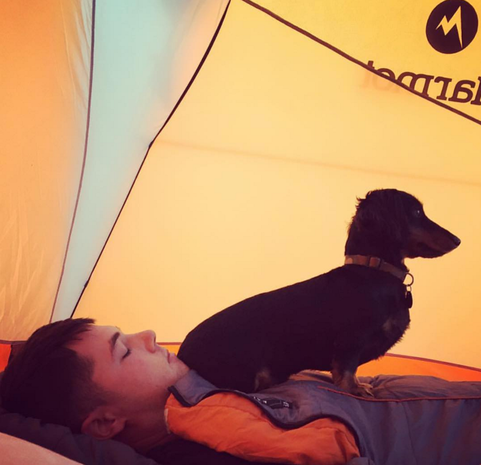 Photo of 16 Dogs Who Show You How To Do Camping Right 2/18 by Disha Kapkoti