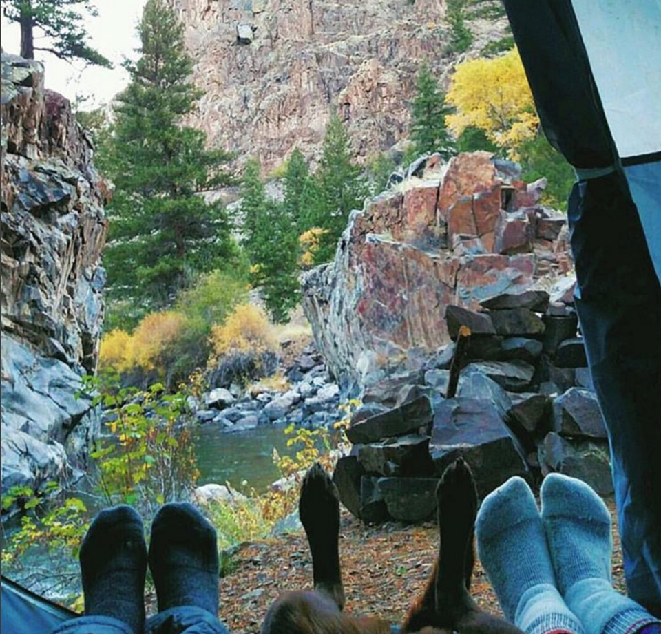 Photo of 16 Dogs Who Show You How To Do Camping Right 7/18 by Disha Kapkoti