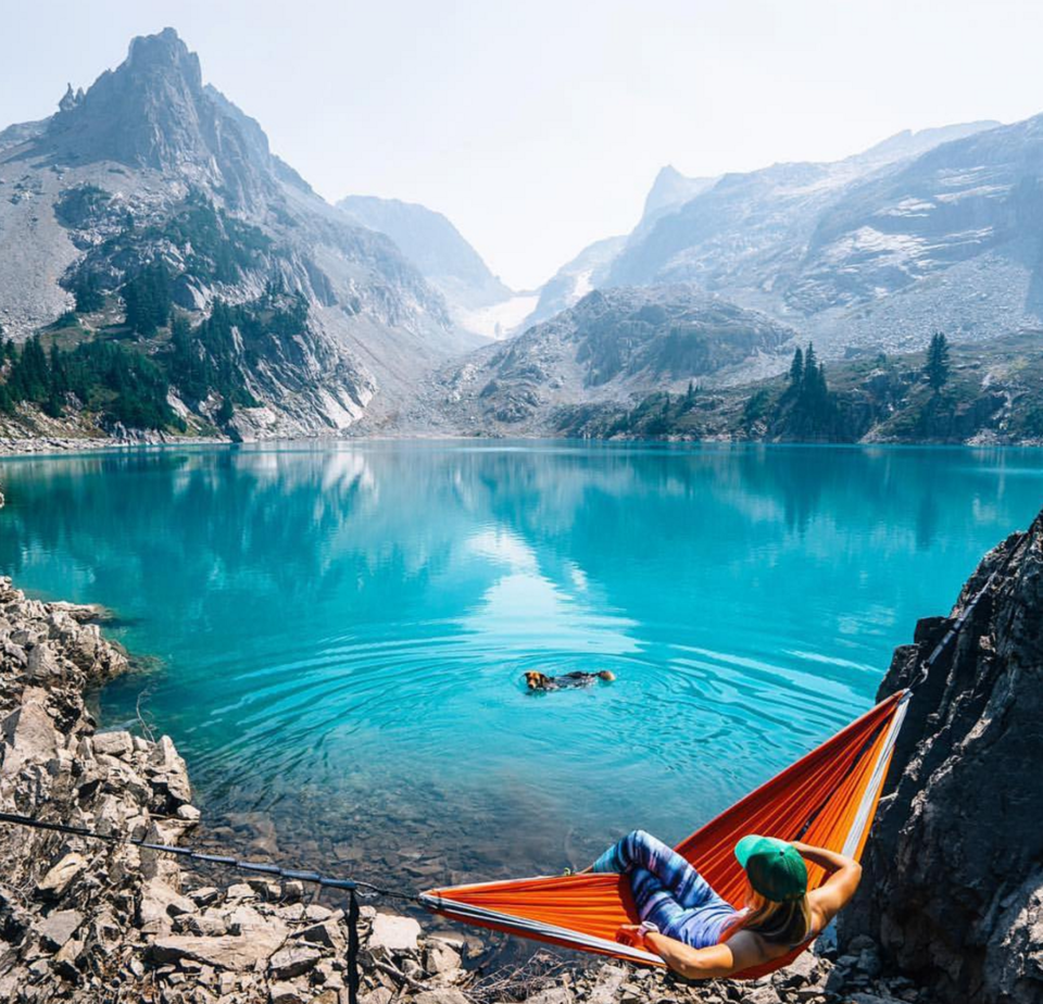 Photo of 16 Dogs Who Show You How To Do Camping Right 10/18 by Disha Kapkoti