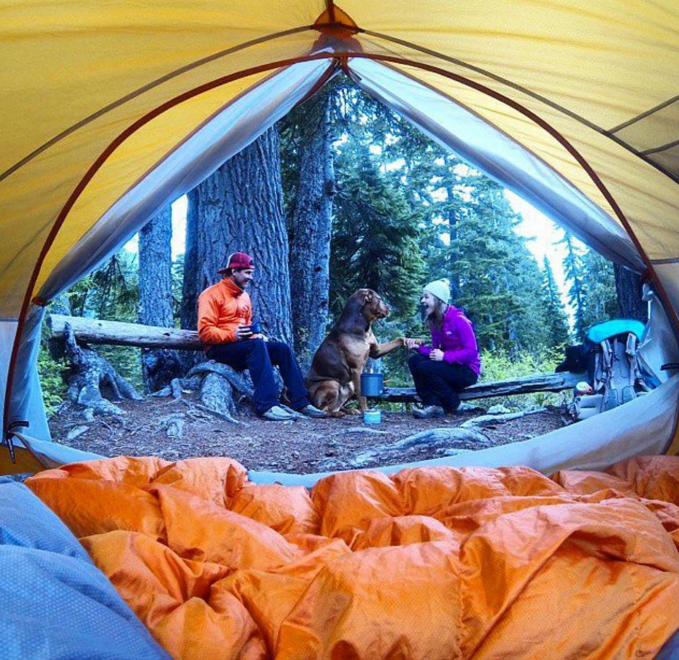 Photo of 16 Dogs Who Show You How To Do Camping Right 11/18 by Disha Kapkoti