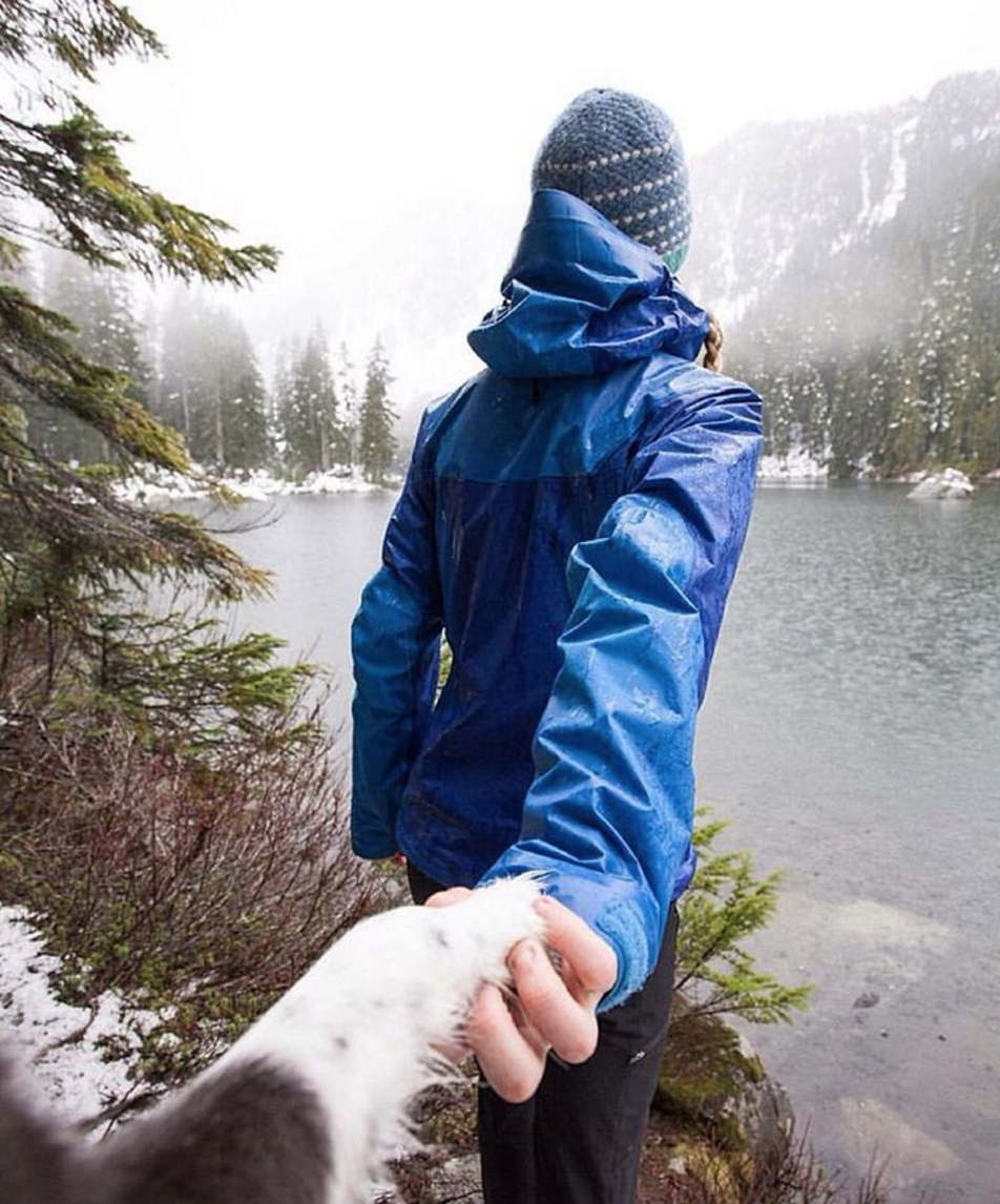 Photo of 16 Dogs Who Show You How To Do Camping Right 17/18 by Disha Kapkoti