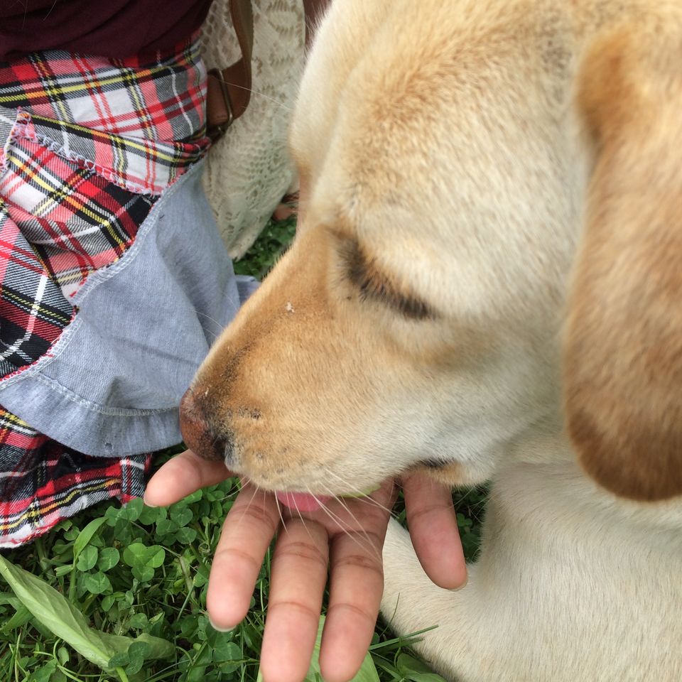 Photo of Getaway to mini Israel 14/17 by Lemtur w..