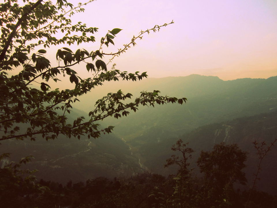 Photo of A December Day in Gangtok 2/2 by Mohana Das