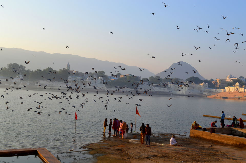 Photo of A Parikrama at the Pushkar Ghat 6/9 by Polomi M (Curious Traveler)