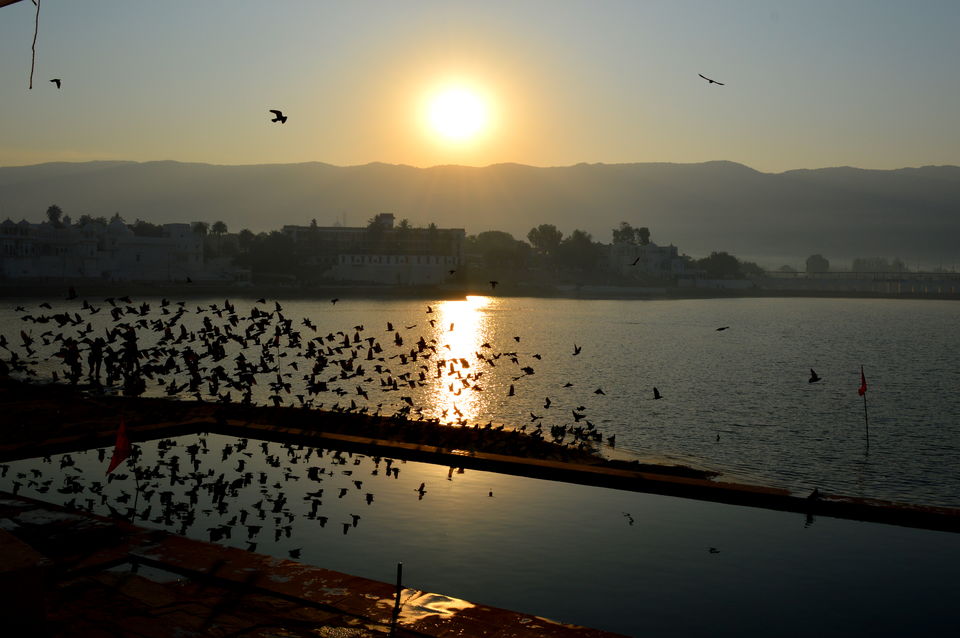 Photo of A Parikrama at the Pushkar Ghat 9/9 by Polomi M (Curious Traveler)