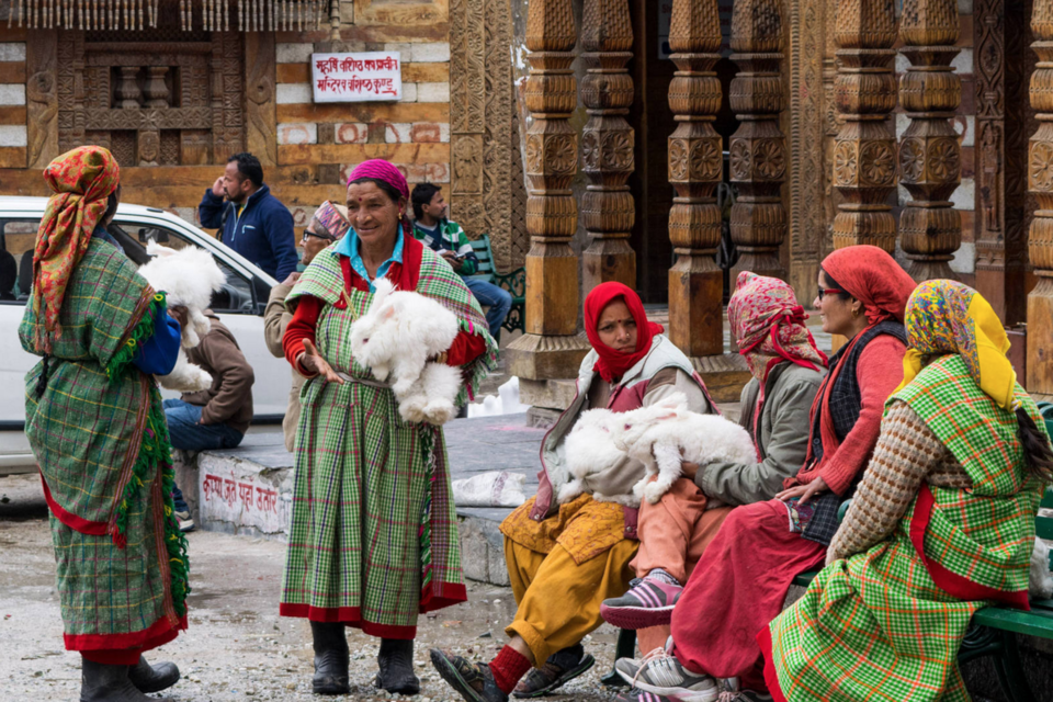 Photo of 8 Secret Spots In Mainstream Indian Destinations That Locals Have Kept Hidden From You 2/16 by Disha Kapkoti