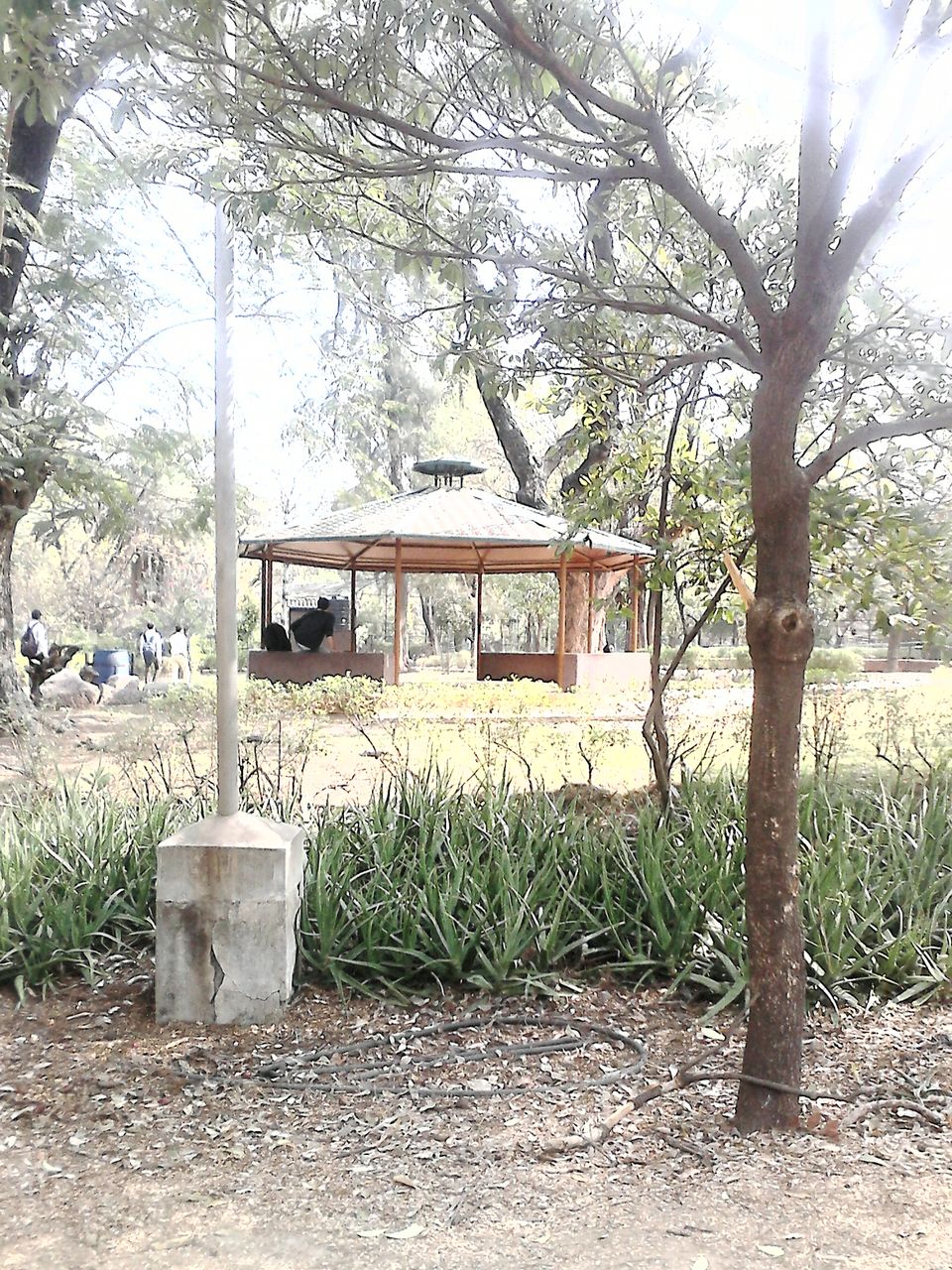 Photo of Nehru Zoological Park β Hyderabad 26/26 by Vinay
