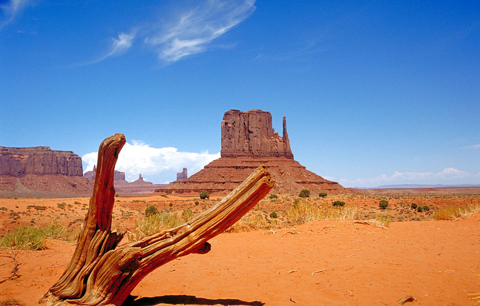Photo of Arizona – Land that I call home 4/5 by Revathi Batola