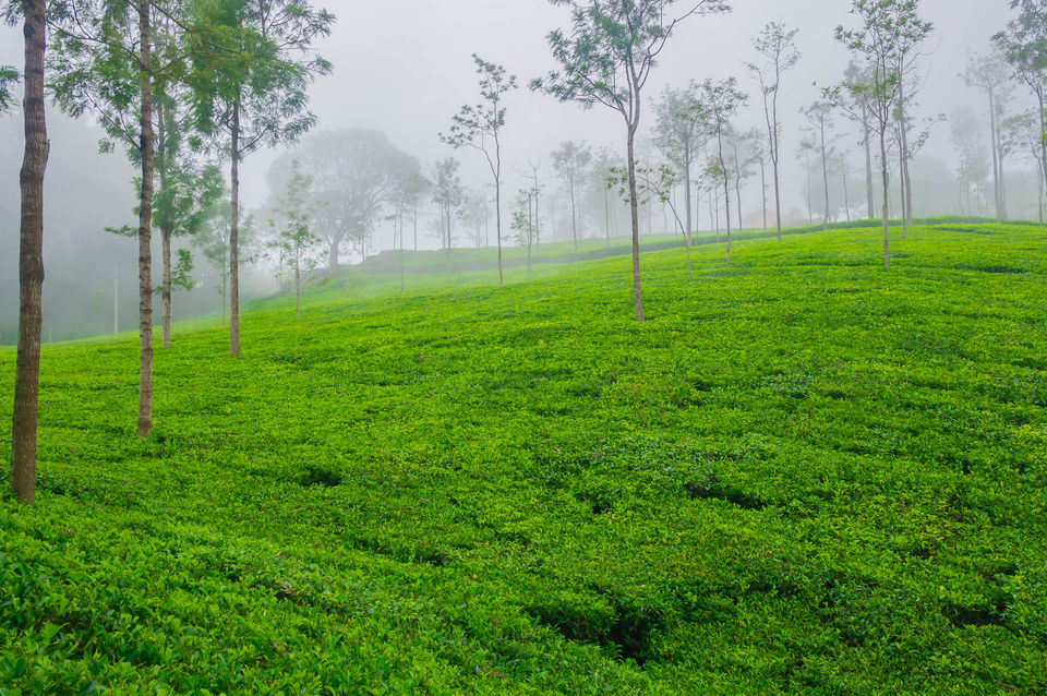Photo of The List of Long Weekends For 2016 Proves That You Were Destined To Travel More This Year 4/10 by Trisha Singh
