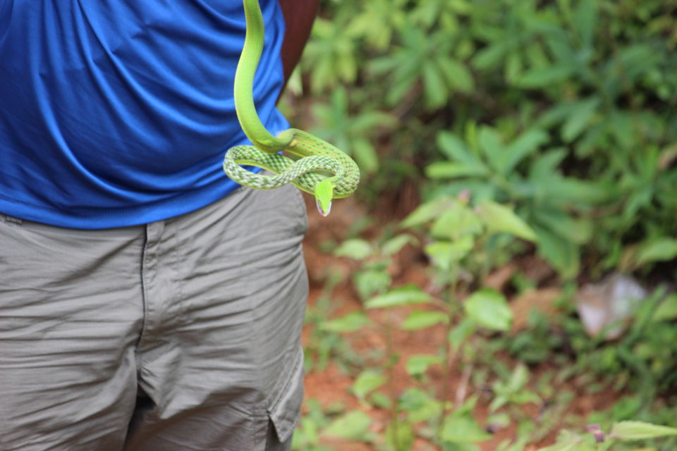 Photo of The dubious trails of Dabbe! 7/10 by Anirudh Pangri