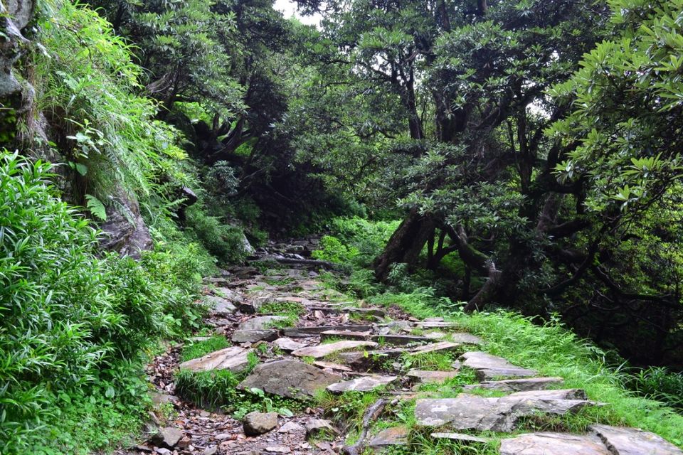 Photo of An affair with the hills of Mcleodganj 12/14 by Vineet Pal