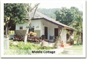 Photo of 5 homestays in Himachal Pradesh that you can't miss! by Kirat S