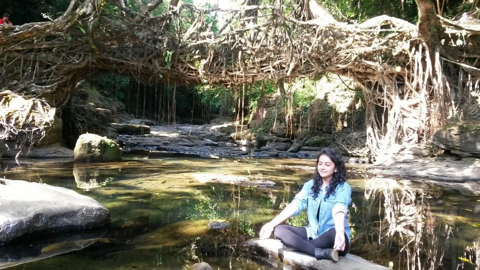 Photo of Dear Solo Female Travellers, Your Sisters Have Guarded Northeast India Well For You 7/8 by Disha Kapkoti