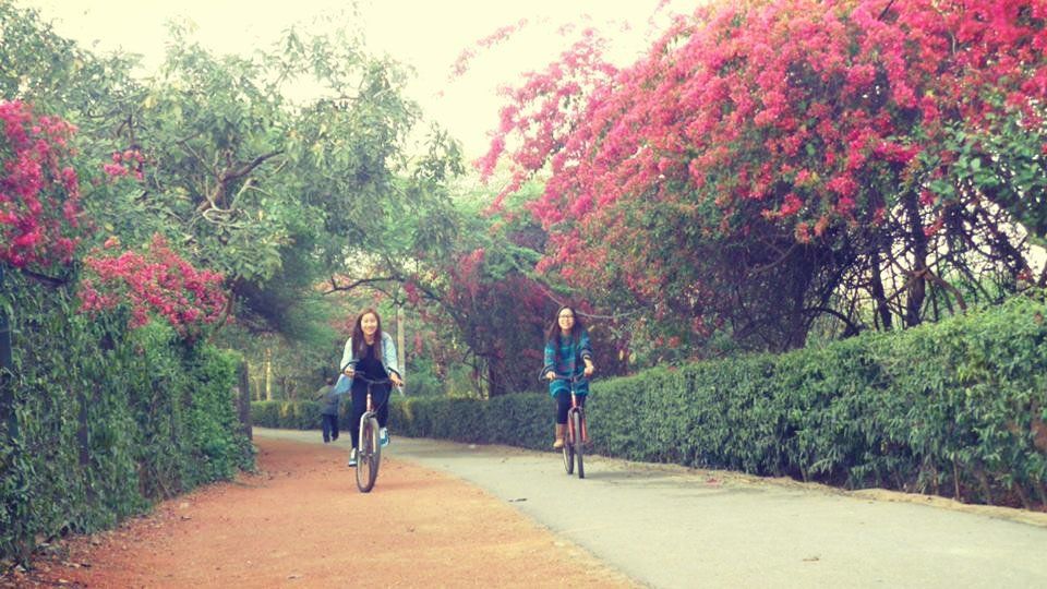 Photo of 8 Hideaways Where You Can Clear Your Head In Delhi 2/8 by Gunjan Upreti