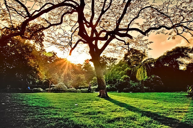 Photo of 8 Hideaways Where You Can Clear Your Head In Delhi 3/8 by Gunjan Upreti