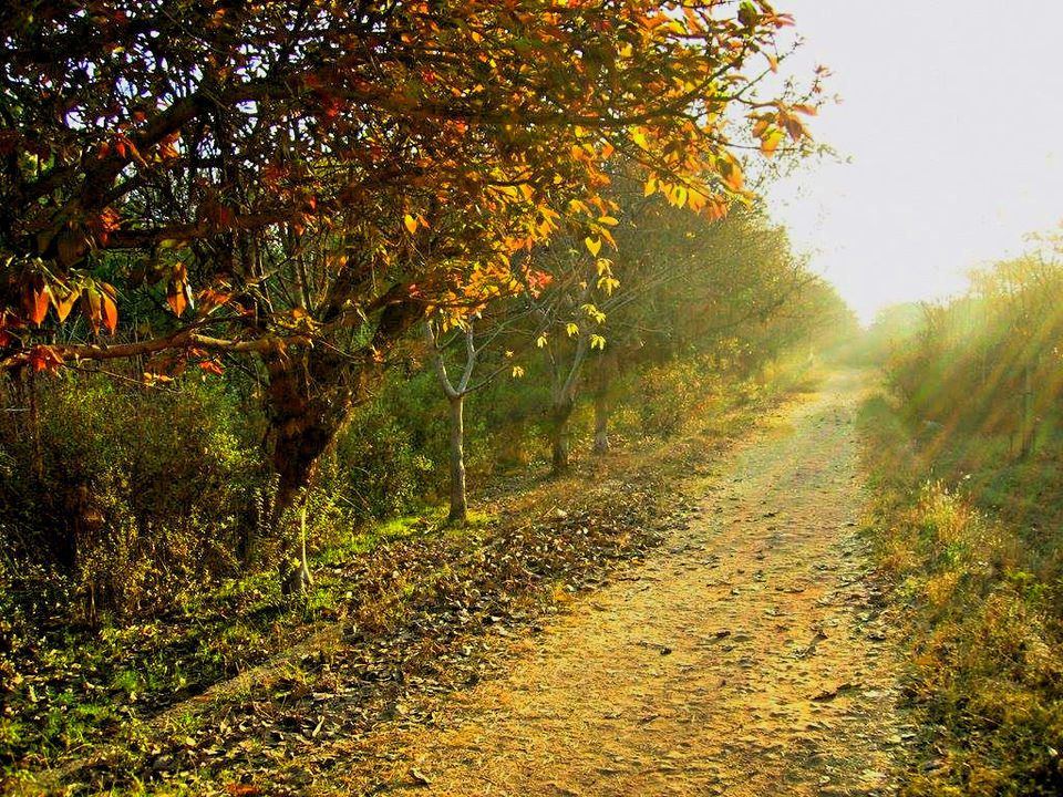Photo of 8 Hideaways Where You Can Clear Your Head In Delhi 6/8 by Gunjan Upreti