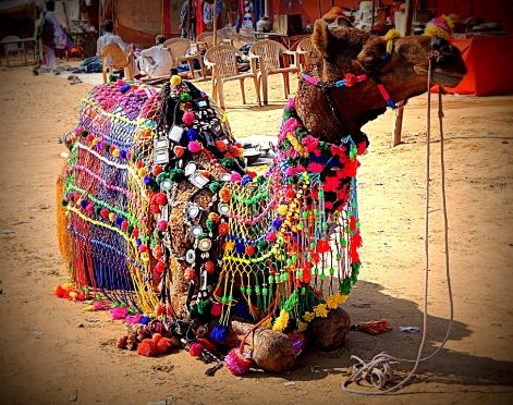 Photo of Pushkar Mela: Not for everyone? 6/8 by Swati Saxena