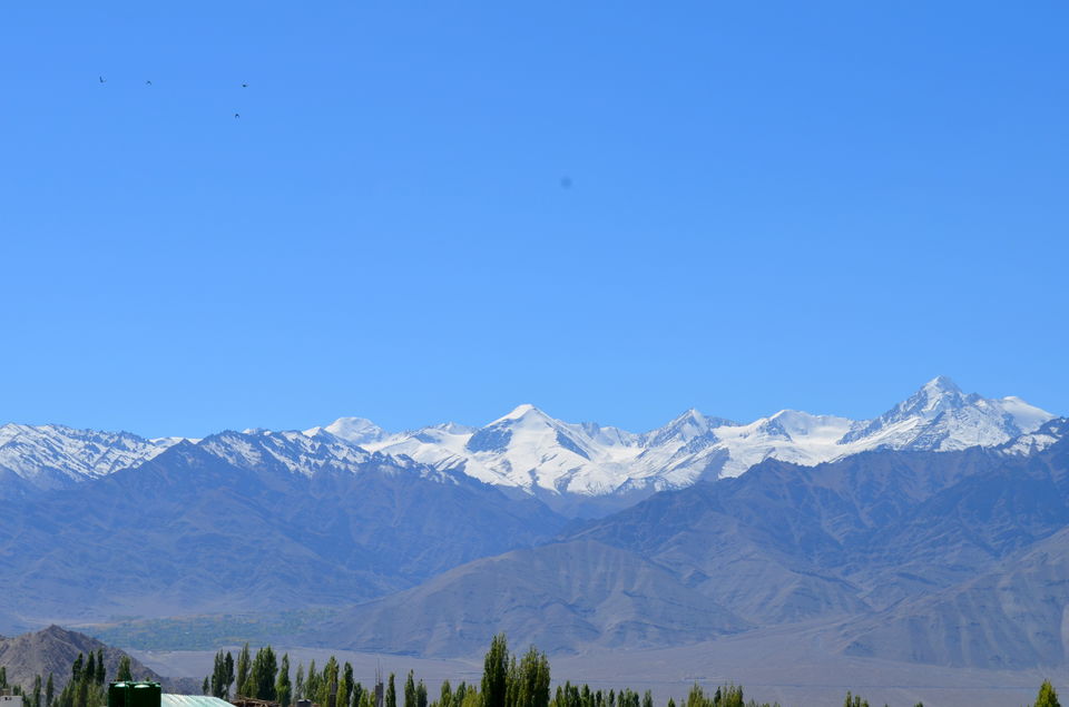 Photo of Road Trip Through Heaven on Earth, Leh Ladakh! 13/37 by Bobby