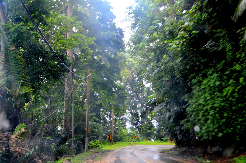 Photo of Short break at Janda Baik, Malaysia 15/22 by Bobby