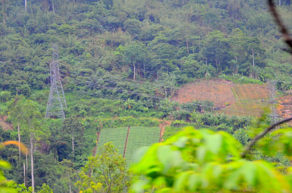 Photo of Short break at Janda Baik, Malaysia 16/22 by Bobby