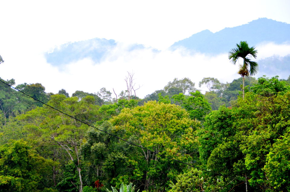 Photo of Short break at Janda Baik, Malaysia 18/22 by Bobby