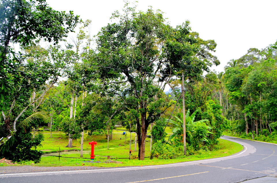 Photo of Short break at Janda Baik, Malaysia 19/22 by Bobby