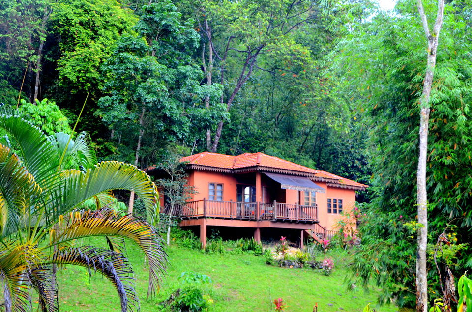 Photo of Short break at Janda Baik, Malaysia 20/22 by Bobby