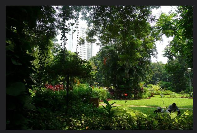 Photo of Peace out in Mumbai: Peaceful Pockets 4/5 by Arushi Dutt