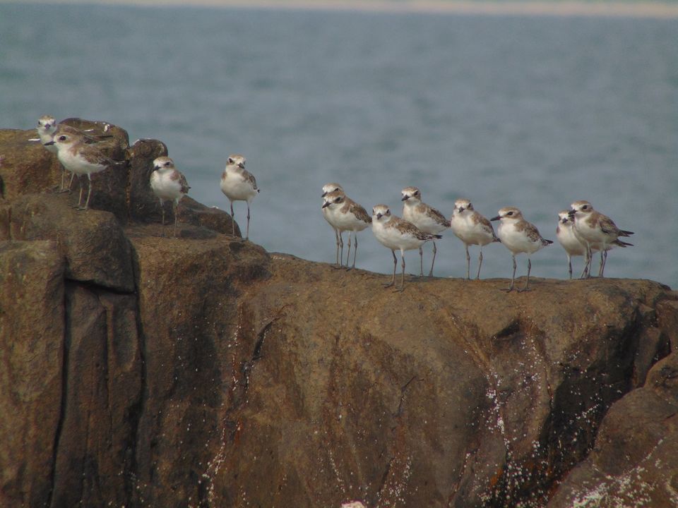 Photo of St. Mary's Island: Hope & Peace 15/24 by Piyush Aggarwal