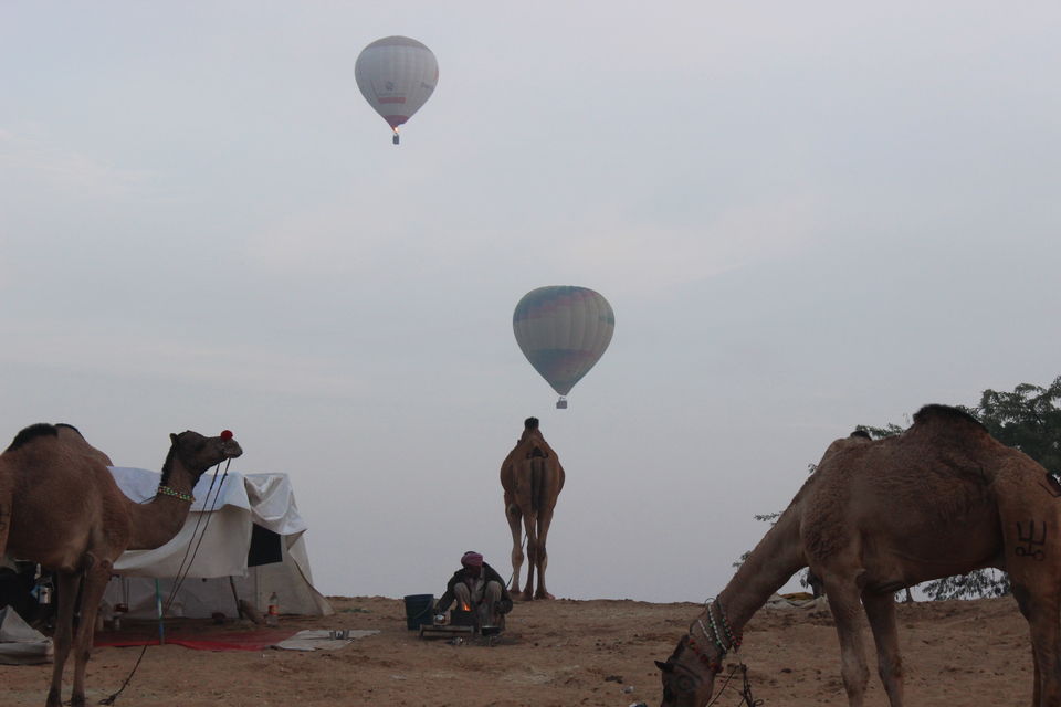 Photo of Pushkar Fair – A Story Untold 25/30 by Jatin Jindal