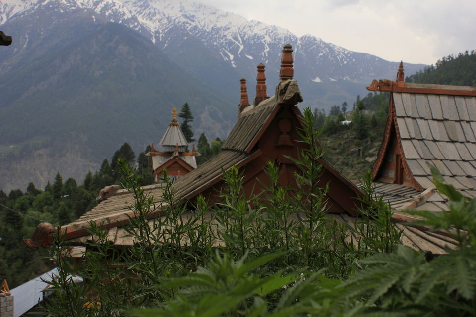 Photo of Know India's Evergreen Tourist Spots, That Still Remain Number One on Google Search! 7/10 by Sreshti Verma