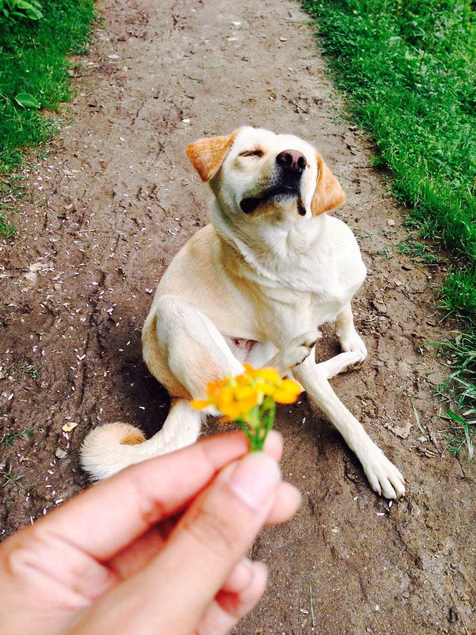 Photo of Reasons Why Making A New Friend Makes Your Trip Incredible! 10/10 by Cathline Chen